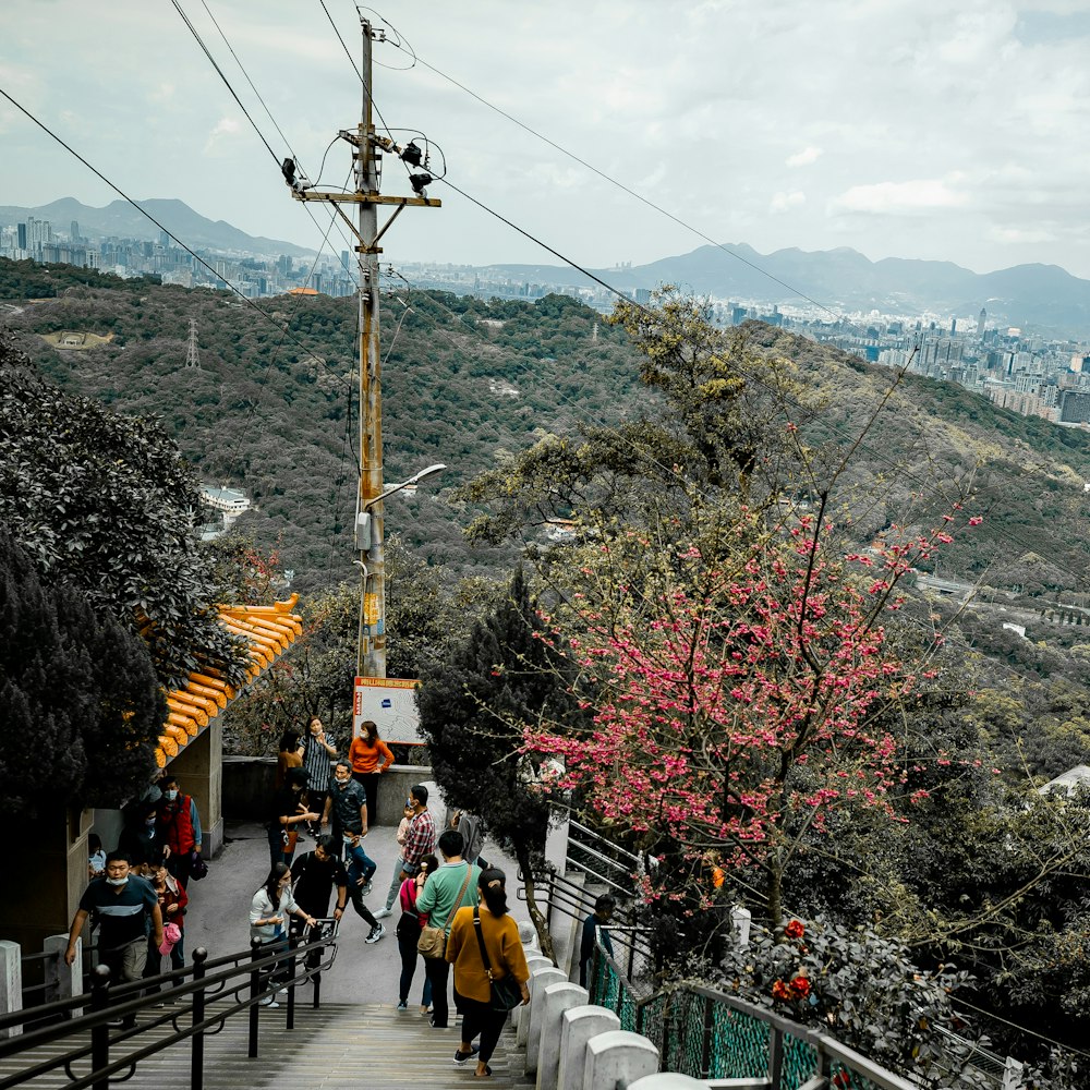 people walking on street near trees and mountain during daytime