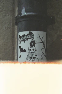 Close-up of a DVD case featuring underground punk bands with raw, edgy cover art.
