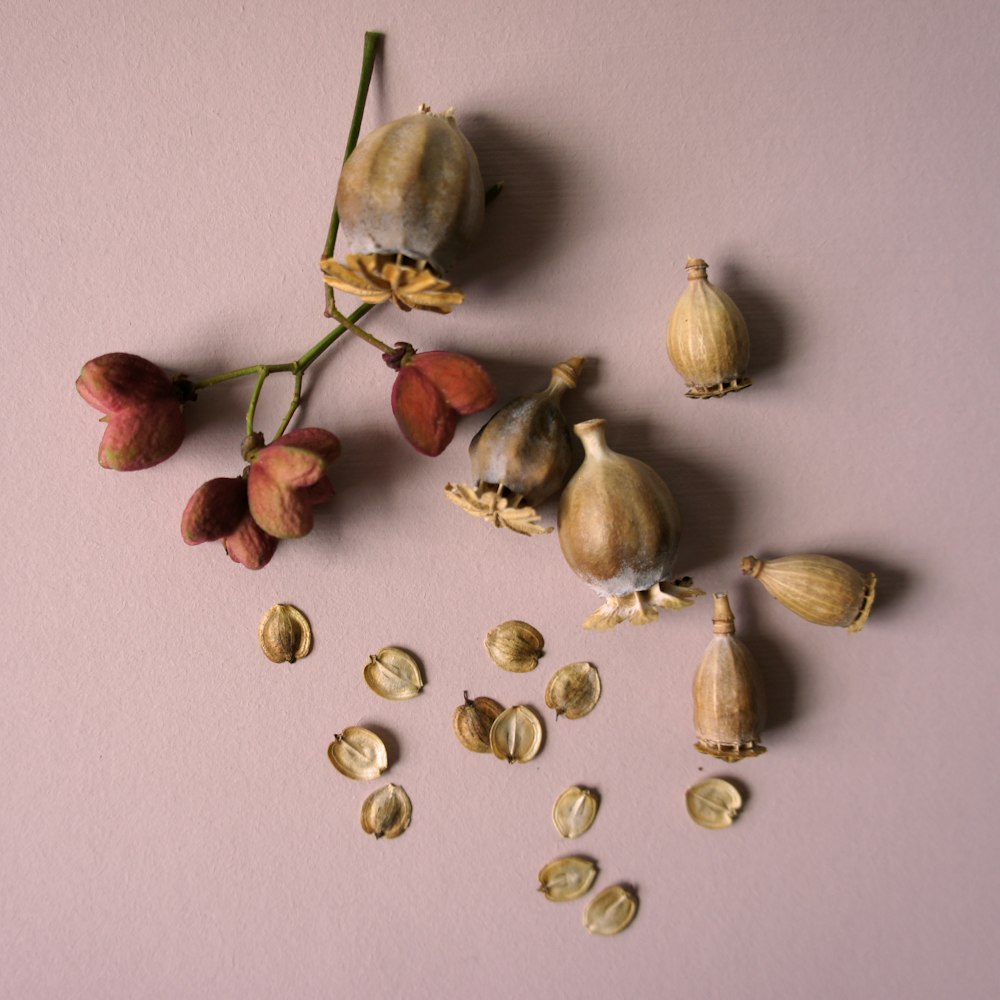 a bunch of different types of garlic on a pink surface