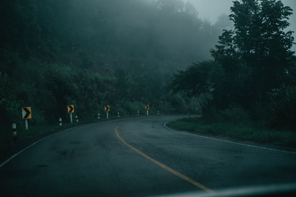 people walking on road during daytime