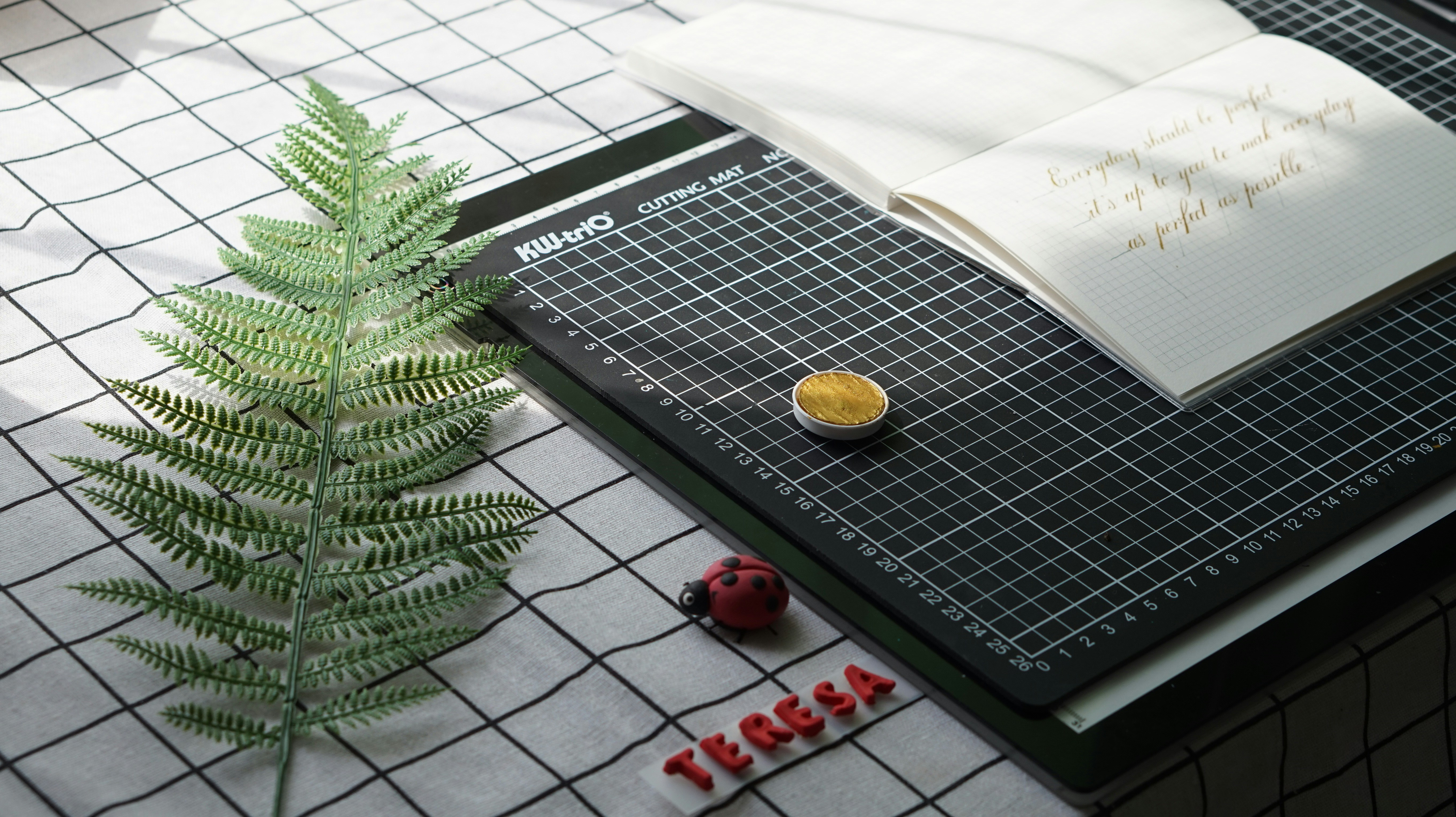 green plant on white ceramic tiles