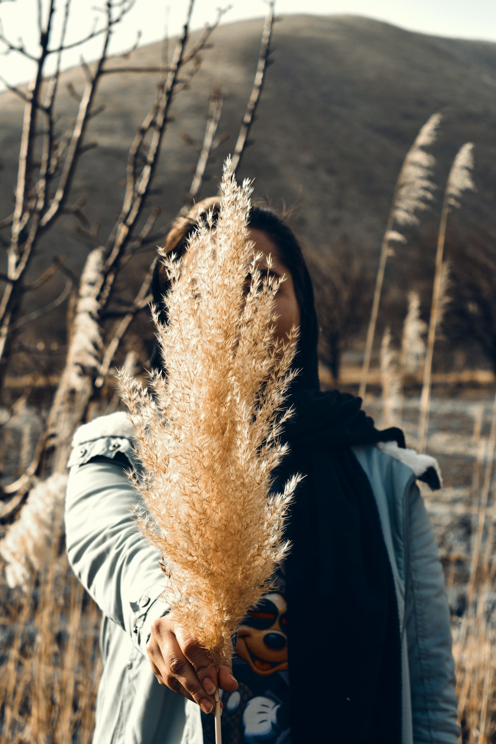 person in black jacket holding brown dried plant