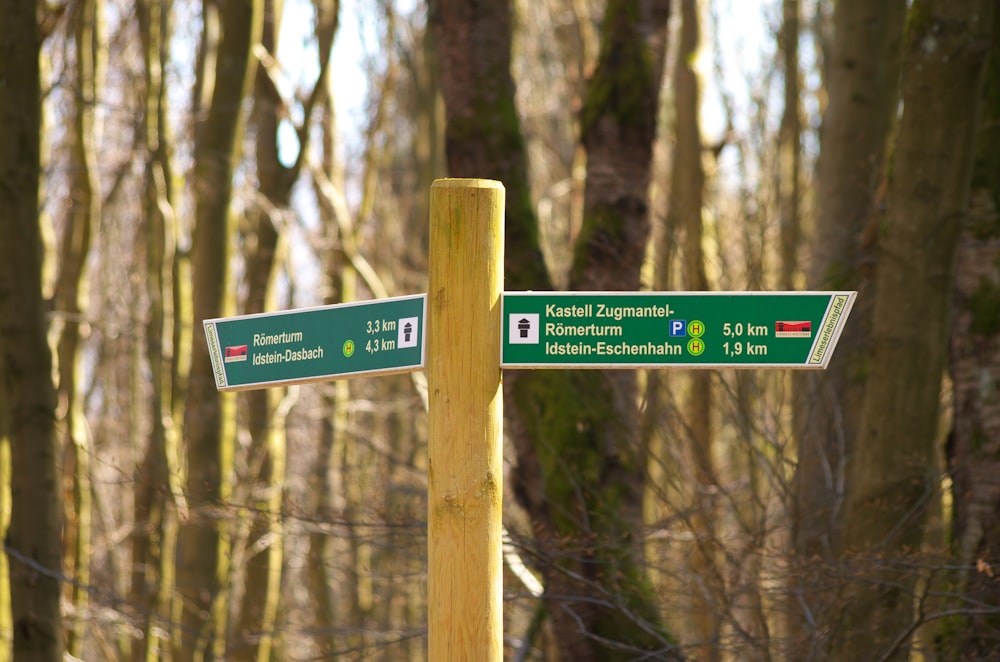 green and white wooden signage