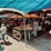 A bustling outdoor market with various stalls selling fresh produce, including tomatoes, cucumbers, and other vegetables. Several people are shopping and interacting with vendors under colorful tarps providing shade. Brightly colored canopies in blue, orange, and white add vibrancy to the atmosphere. Some shoppers carry bags of purchased goods as they navigate the busy marketplace.