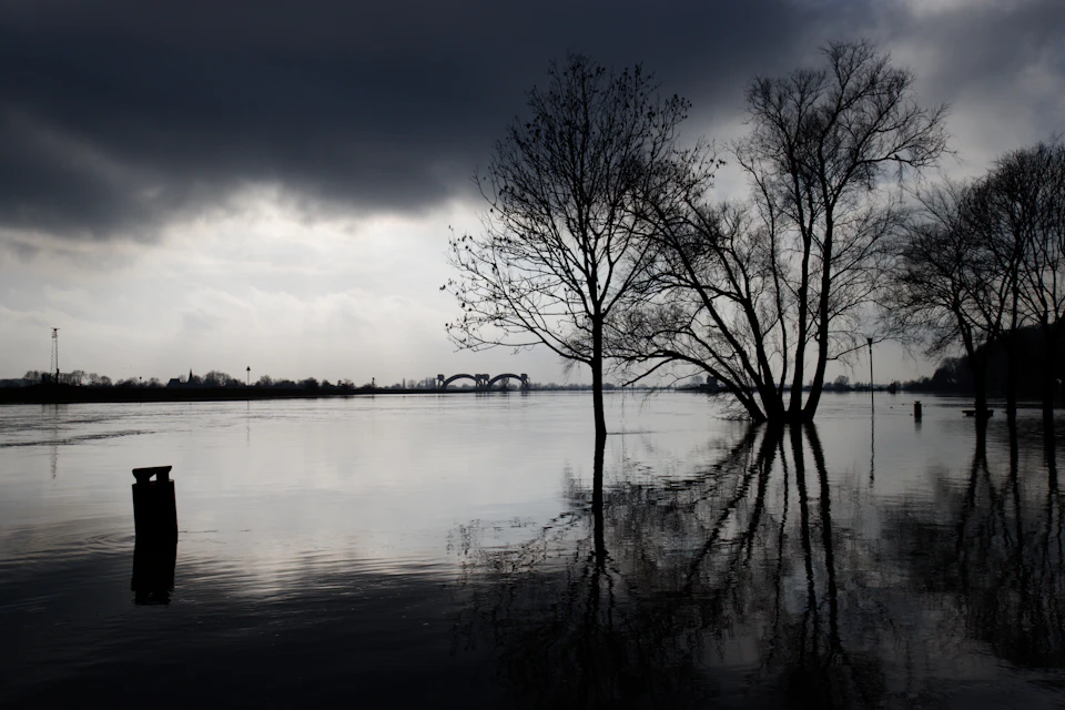 Two trees stand tall on either side of a serene riverbank with cloudy sky above