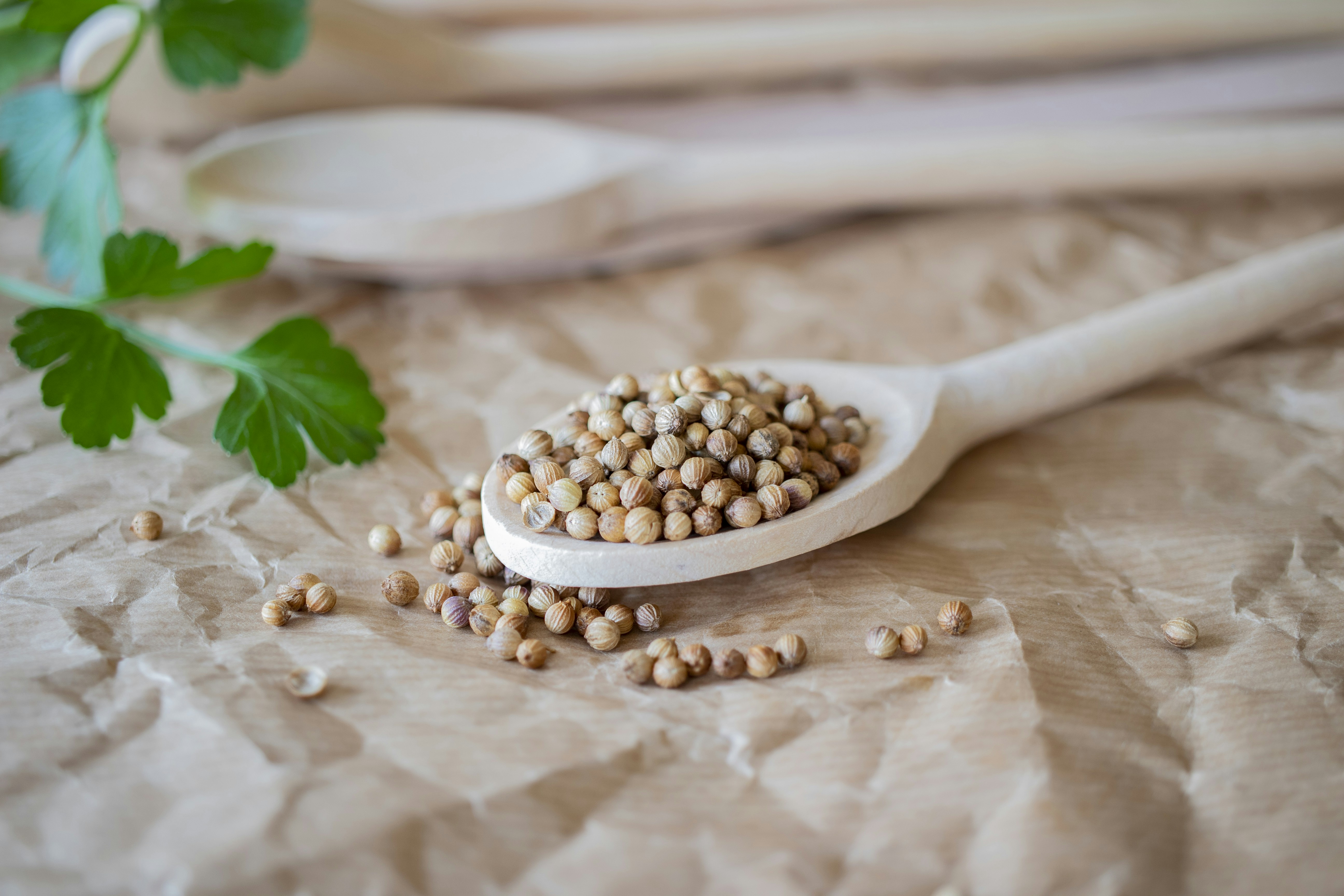 Photo by supardisign