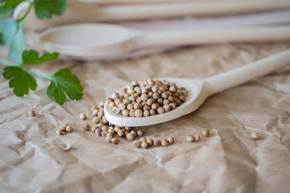 noci marroni su cucchiaio di legno marrone