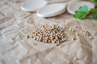 A pile of whole coriander seeds rests on a crumpled brown paper surface. In the background, there are three light-colored wooden spoons and some fresh green parsley leaves.