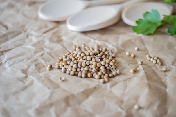 Bright coriander seeds neatly arranged on a wooden surface.