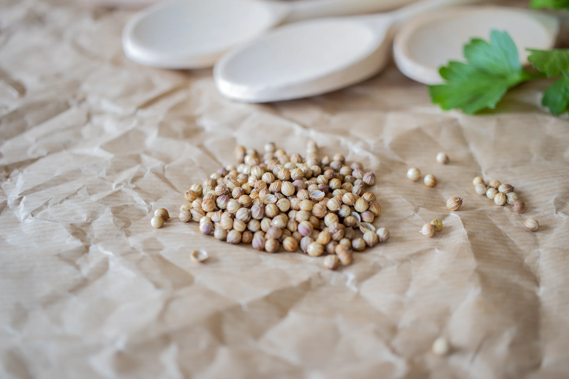 Lush green bunches of fresh coriander and mint leaves resting beside dried fenugreek seeds on a wooden surface.