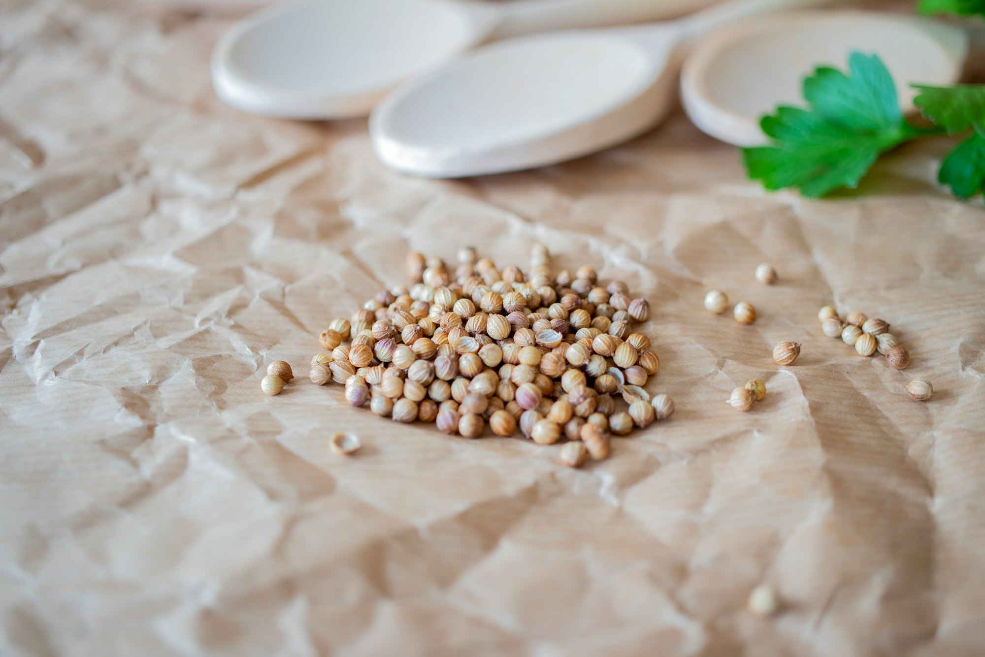 Coriander Seeds, Food, Herbs, Haarlem