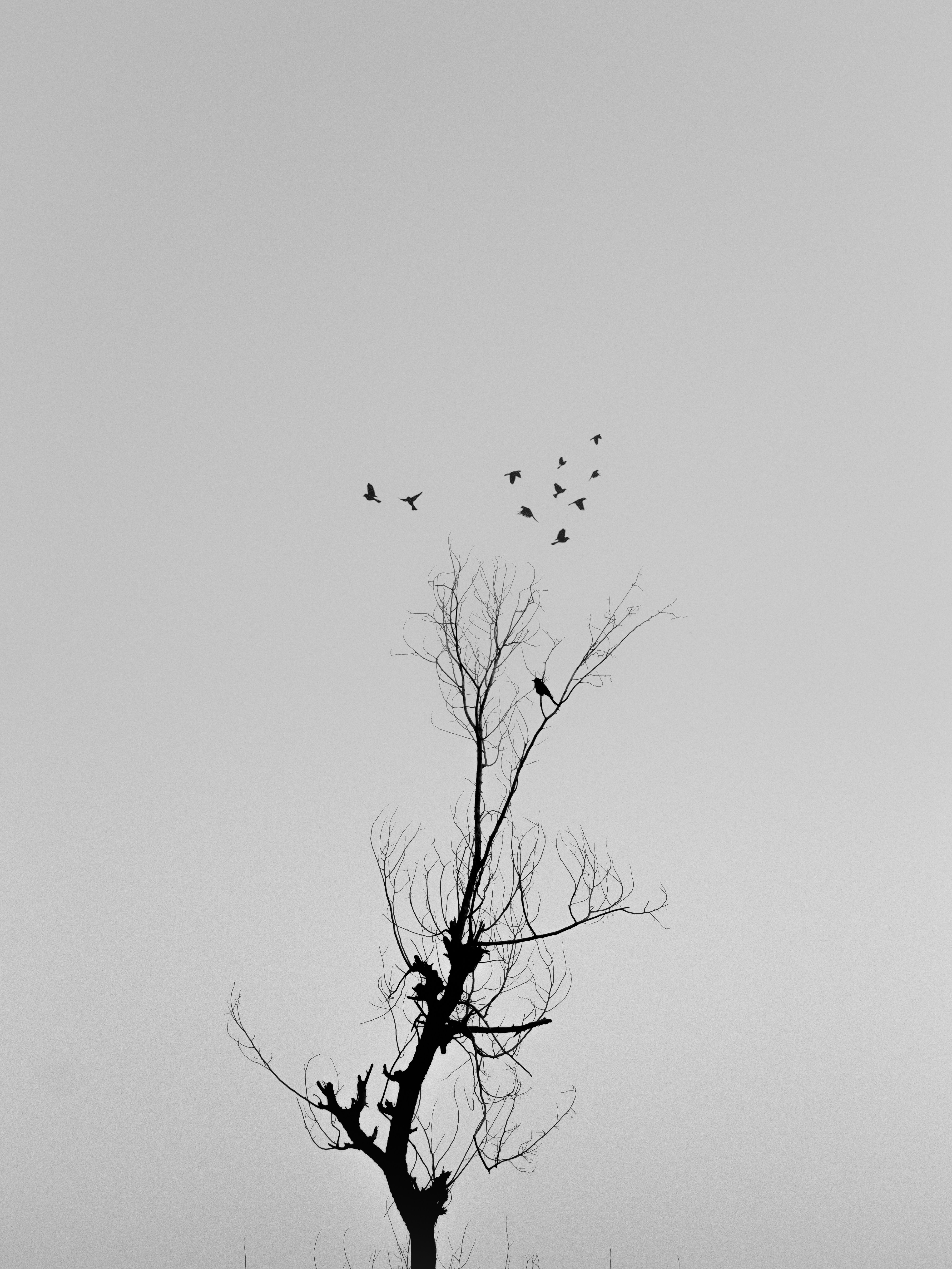 Photo by nishaan_ahmed