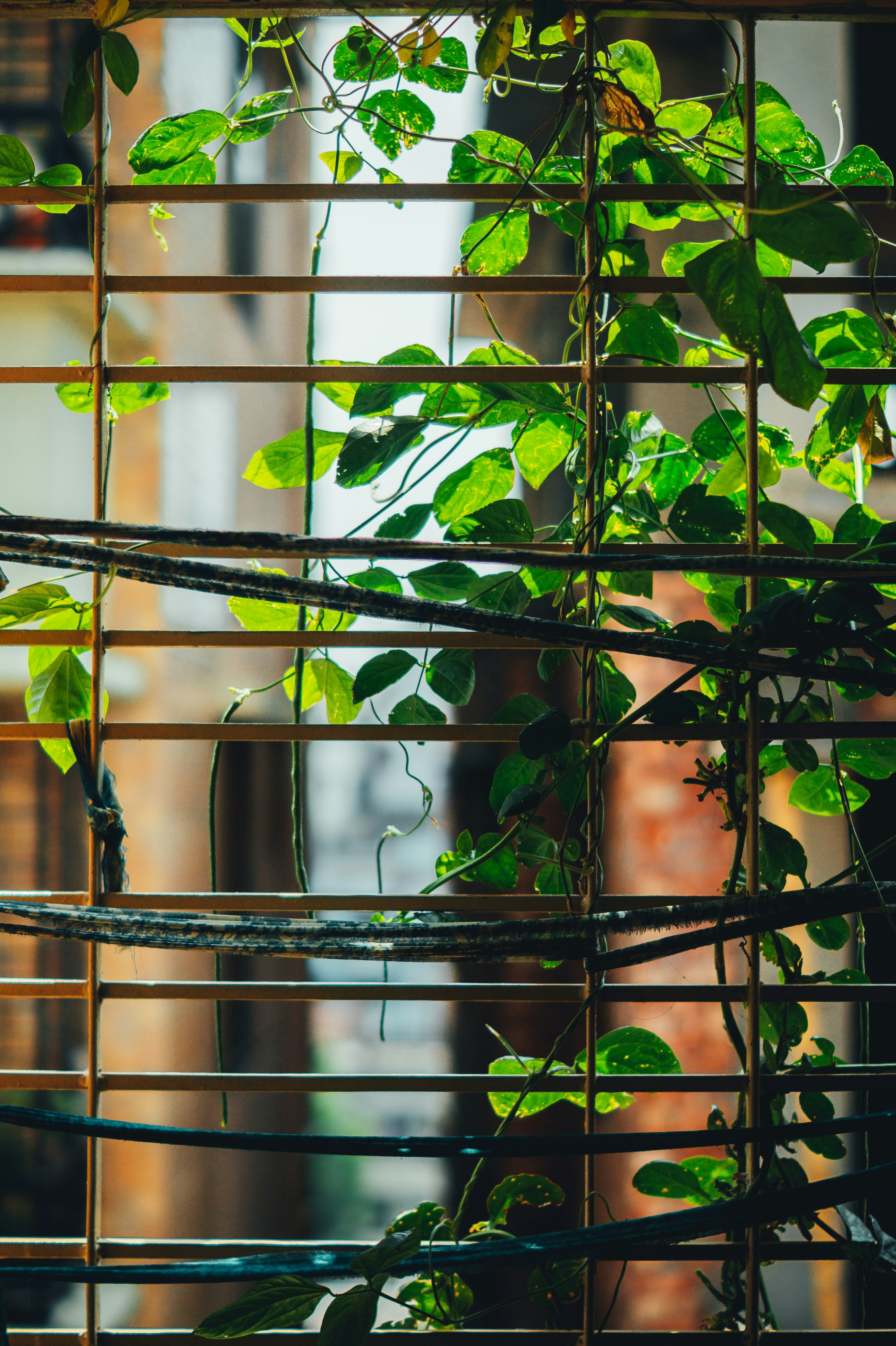 Photo by nishaan_ahmed