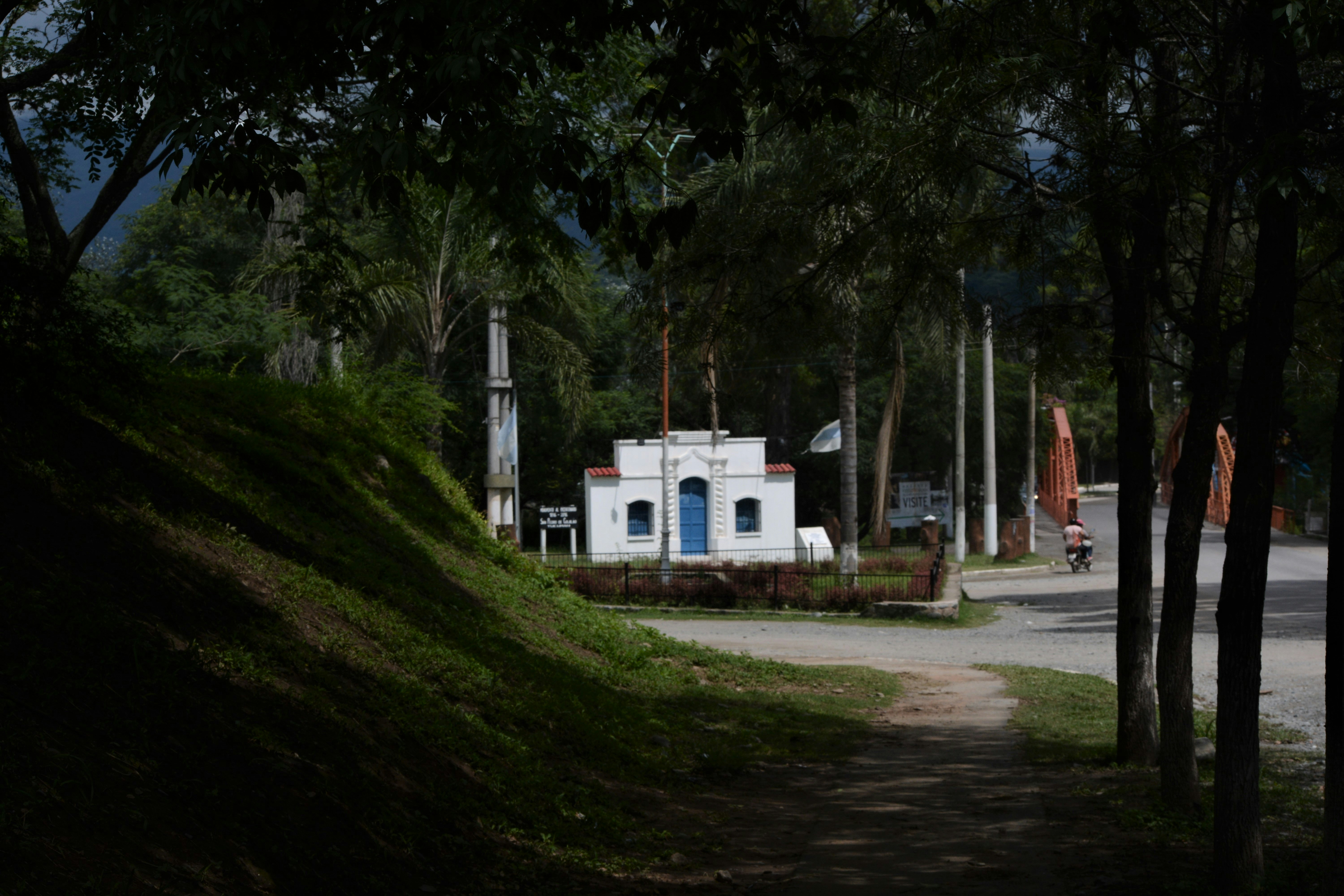 Oishi Bay