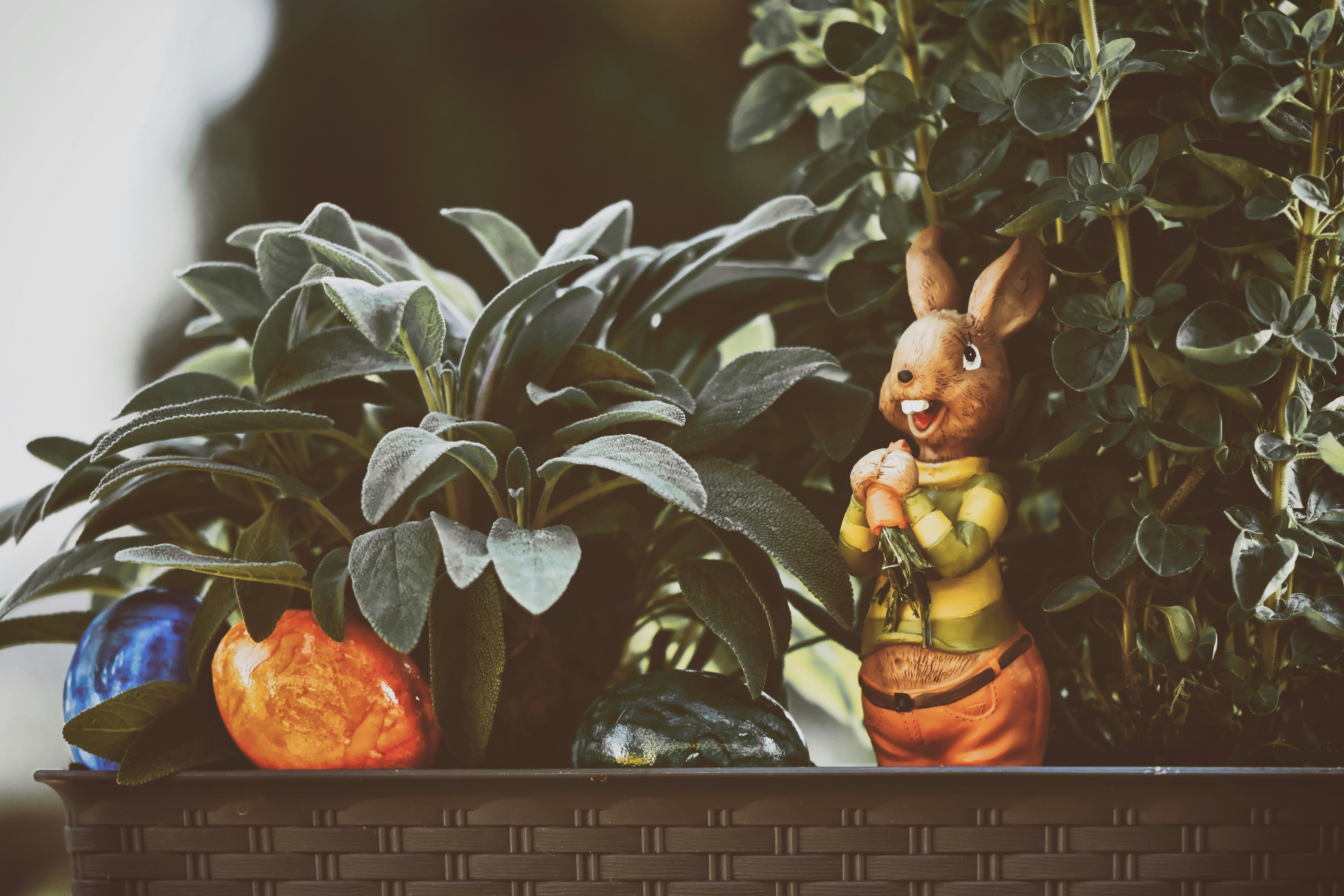 Photo by alexas_fotos