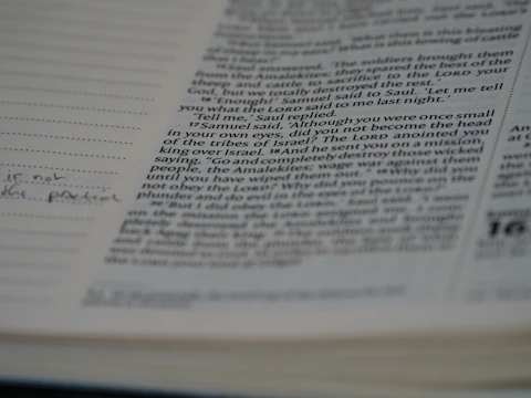 Close-up of a red pen marking corrections on a printed manuscript page.