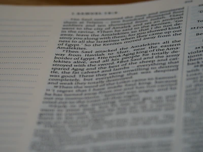 Two-column layout displaying AI reasoning on the left and verified sources on the right.