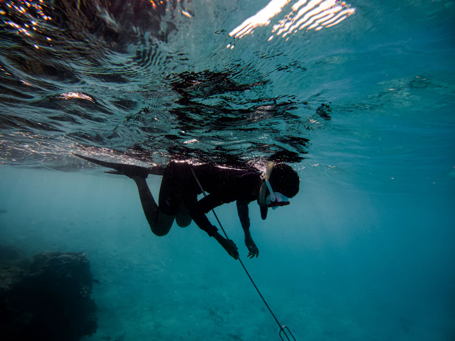 Freediver holding a spear just under the surface above a reef