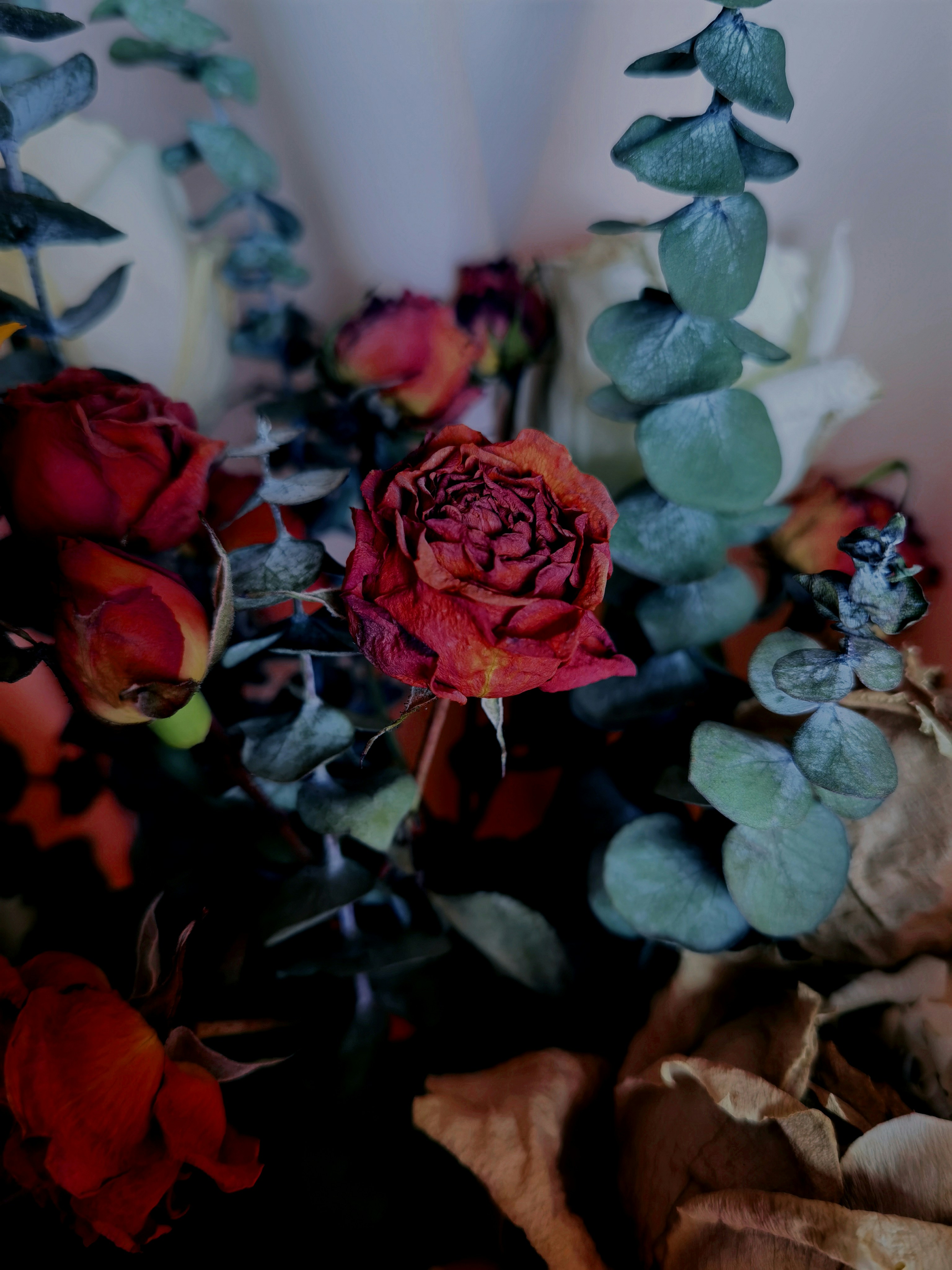 Photo by vansmean