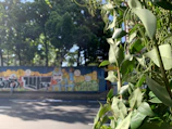 A group of children painting a vibrant mural on a wooden wall surrounded by lush mangrove trees.