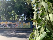 A colorful mural in São Paulo symbolizing growth and sustainability.