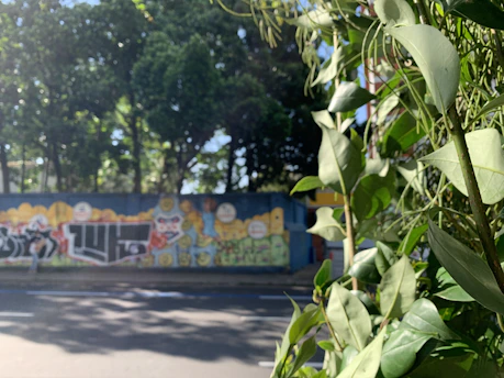 A vibrant street mural celebrating cannabis culture with colorful leaves and community figures.