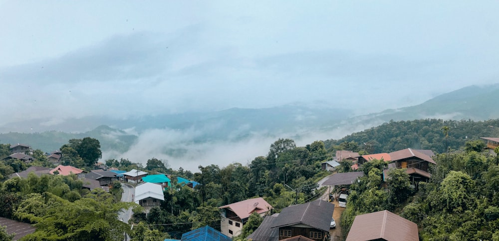 houses on top of hill