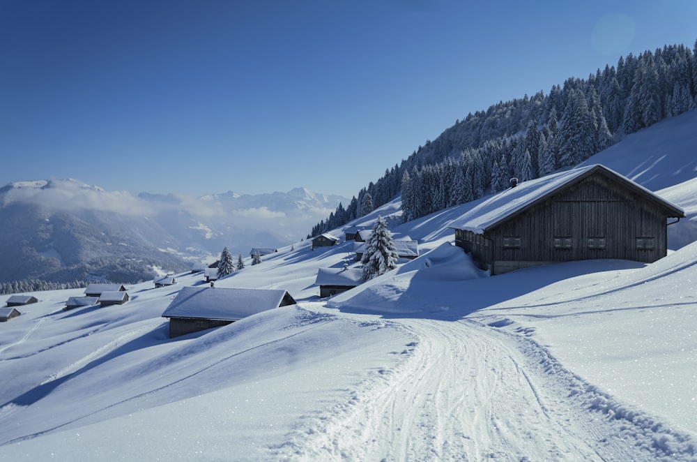 昼間の青空の下、雪に覆われた地面に茶色い木造住宅