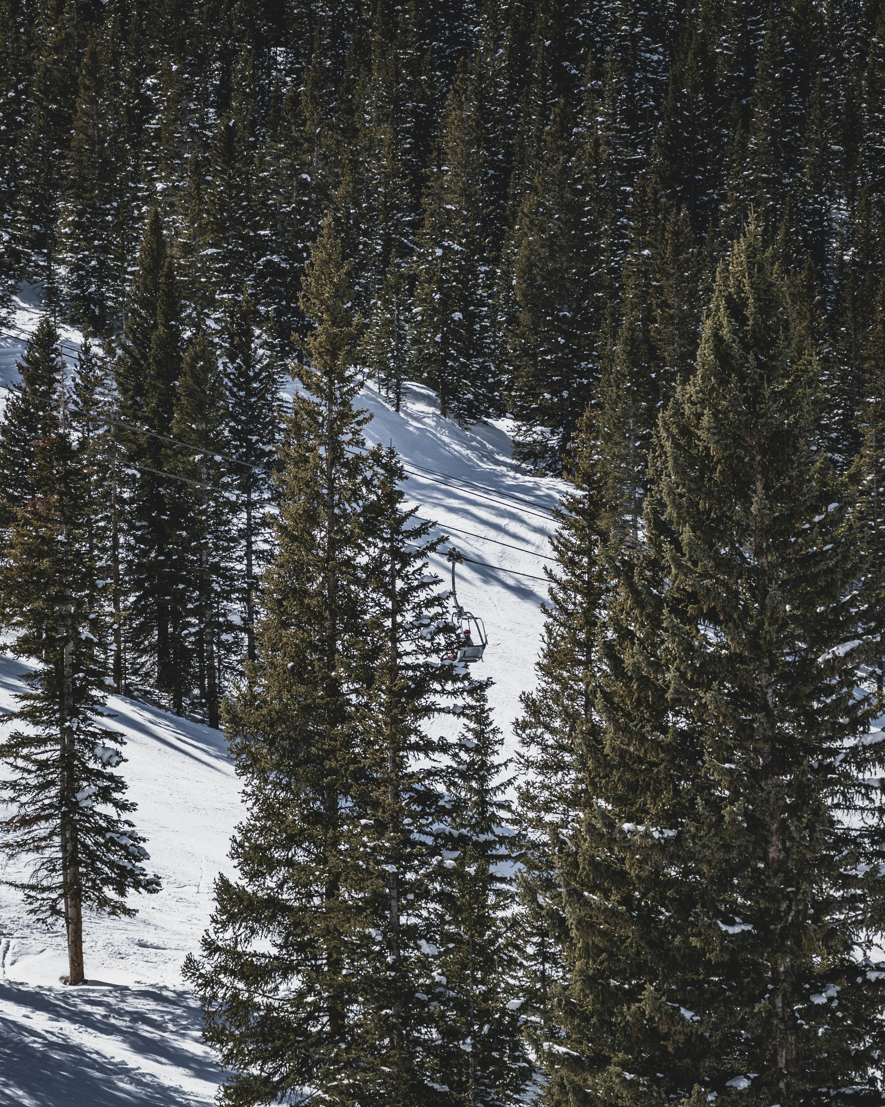 Photo by sandbarproductions