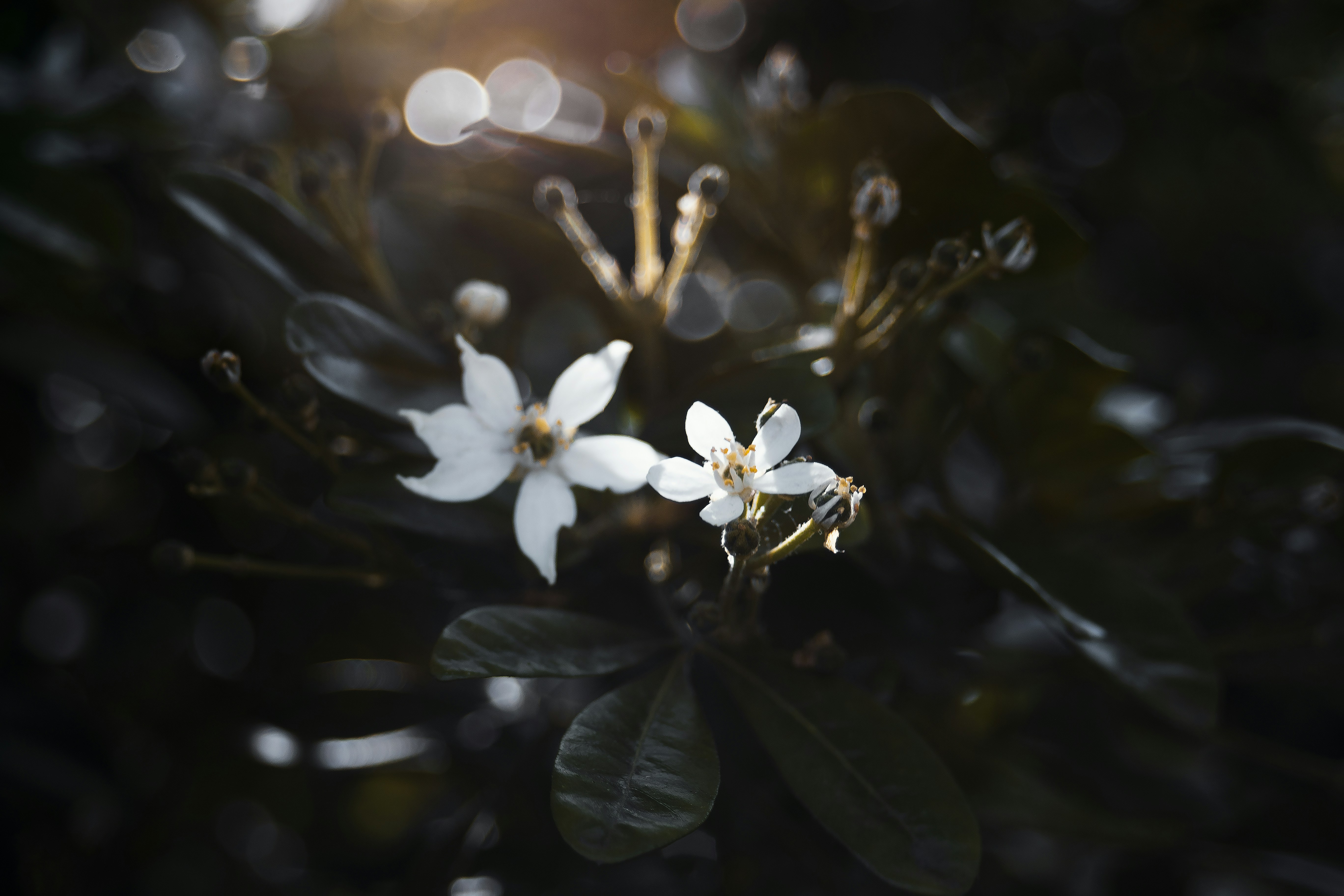 Photo by veronicahalf