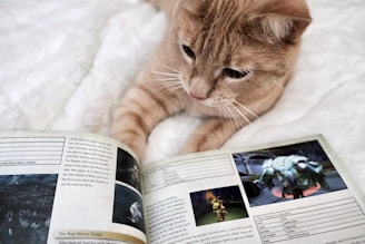 A cat with light brown fur is curiously looking at an open book or magazine, which contains images and text. The book is laid out on a soft, white surface.