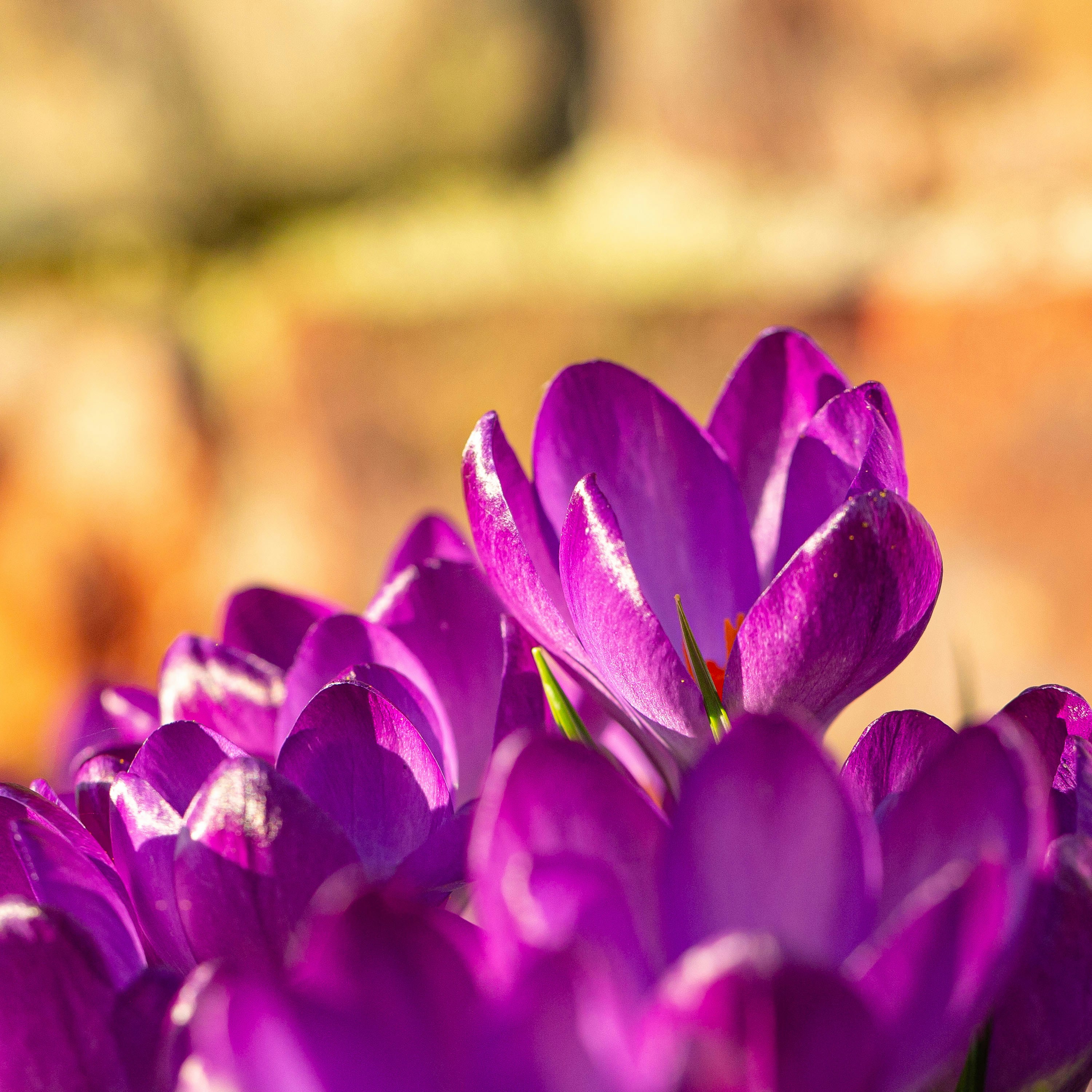 Photo by itscakefortea