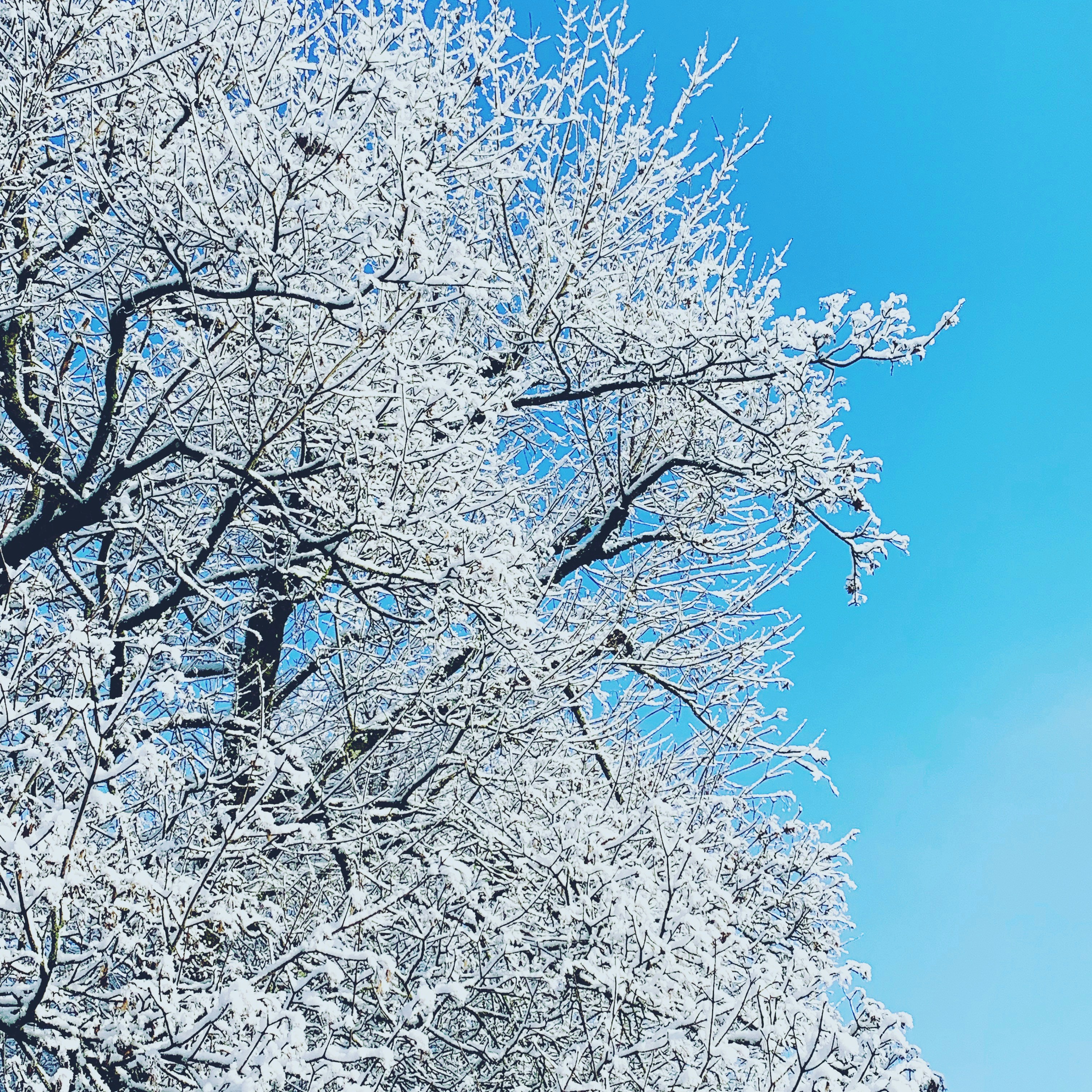 Photo by arnoldstraub