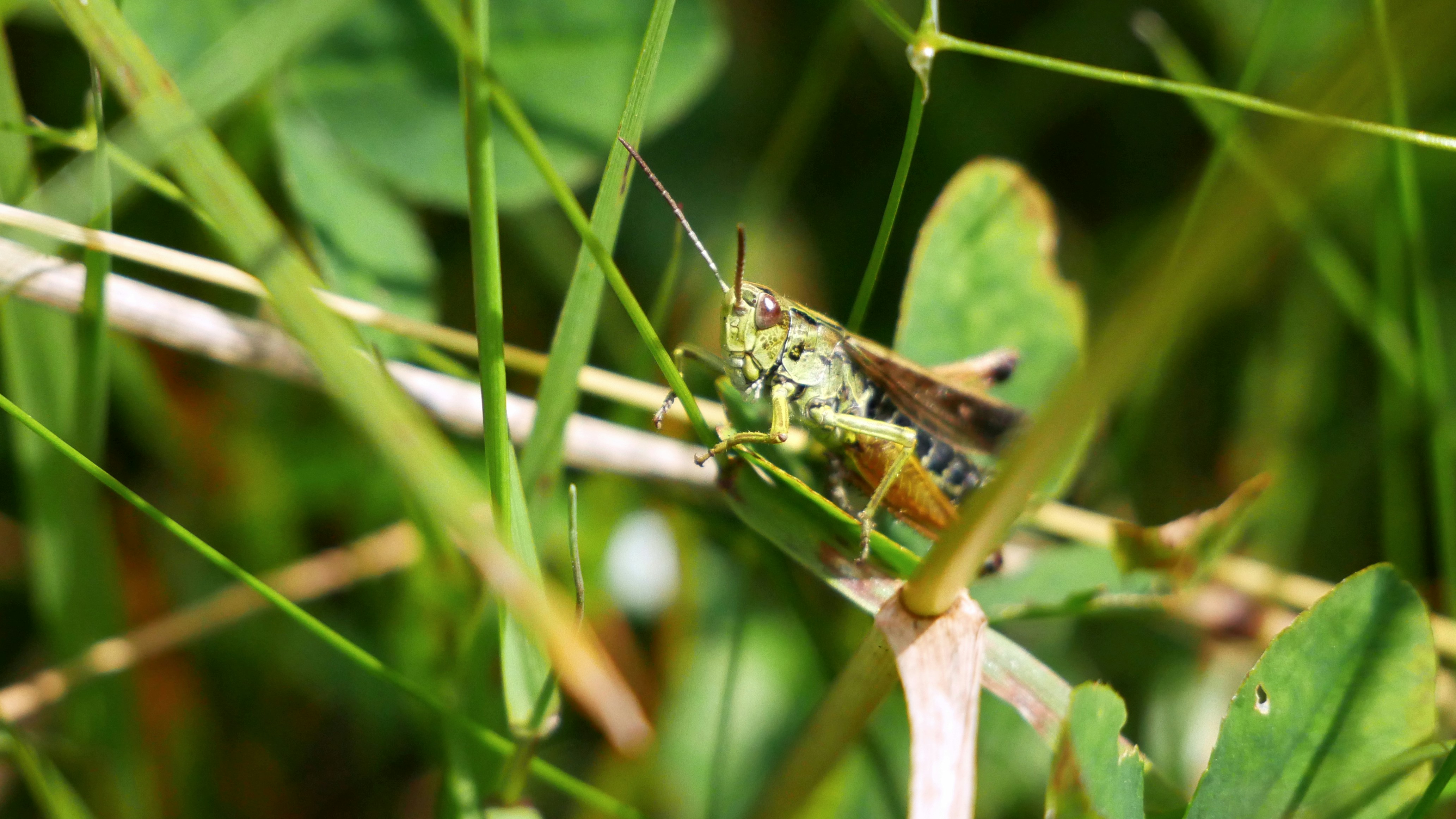 Photo by malinowskip