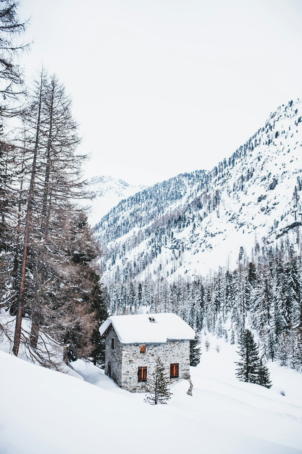 casa coberta de neve perto de árvores e montanha durante o dia