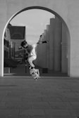 Dynamic shot of a skateboarder mid-air, framed by sharp modern architecture.