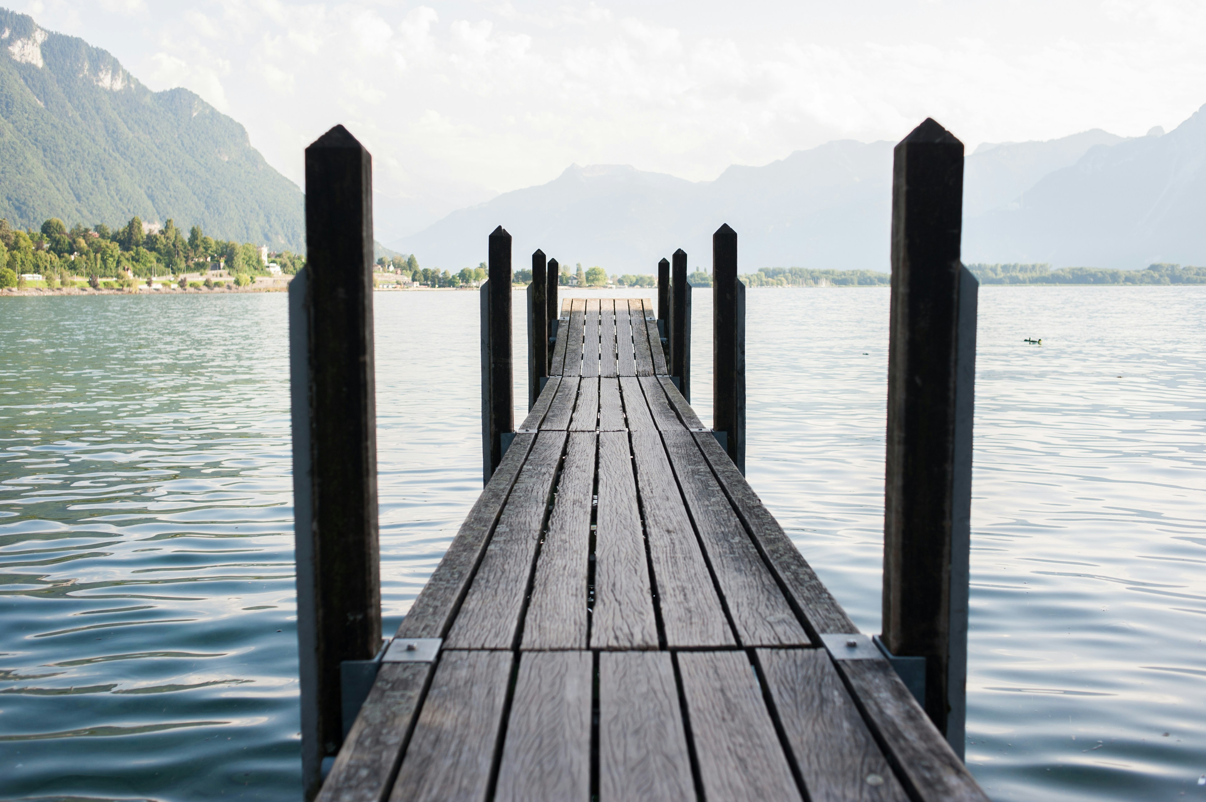 Photo by elimendeinagella