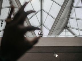 person holding white light bulb