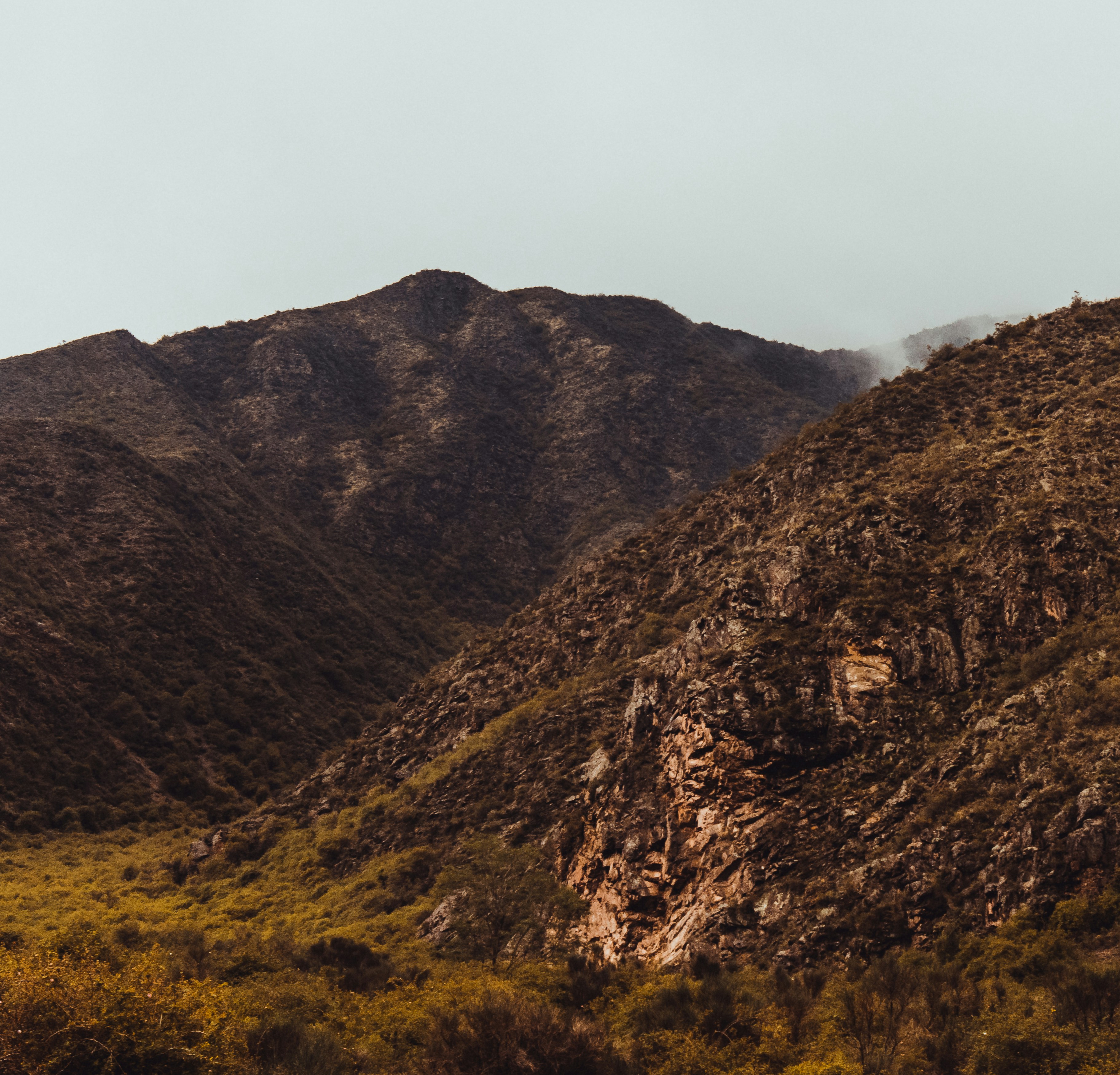 Photo by nature_of_the_experiment