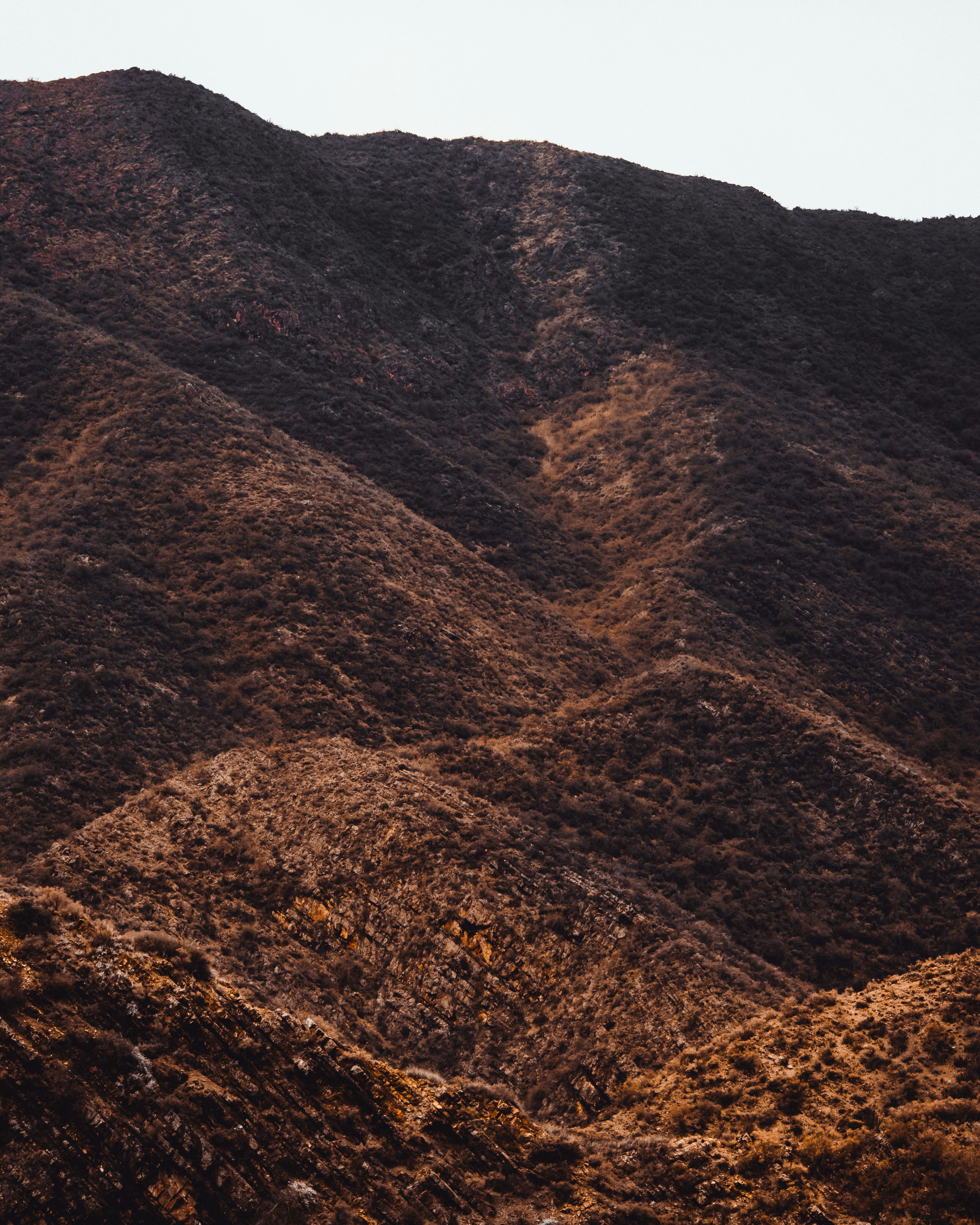 Photo by nature_of_the_experiment