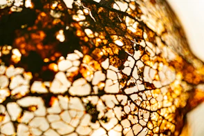 Subtle gold nodes connected by thin white threads forming an evolving structure