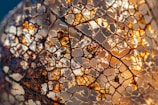 A close-up of a decaying leaf with its intricate, brown and golden lattice structure vulnerable against the light. The delicate and skeletal remains create a network of veins and holes, revealing the complexity and beauty of nature's patterns.