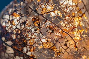 A close-up of a decaying leaf with its intricate, brown and golden lattice structure vulnerable against the light. The delicate and skeletal remains create a network of veins and holes, revealing the complexity and beauty of nature's patterns.