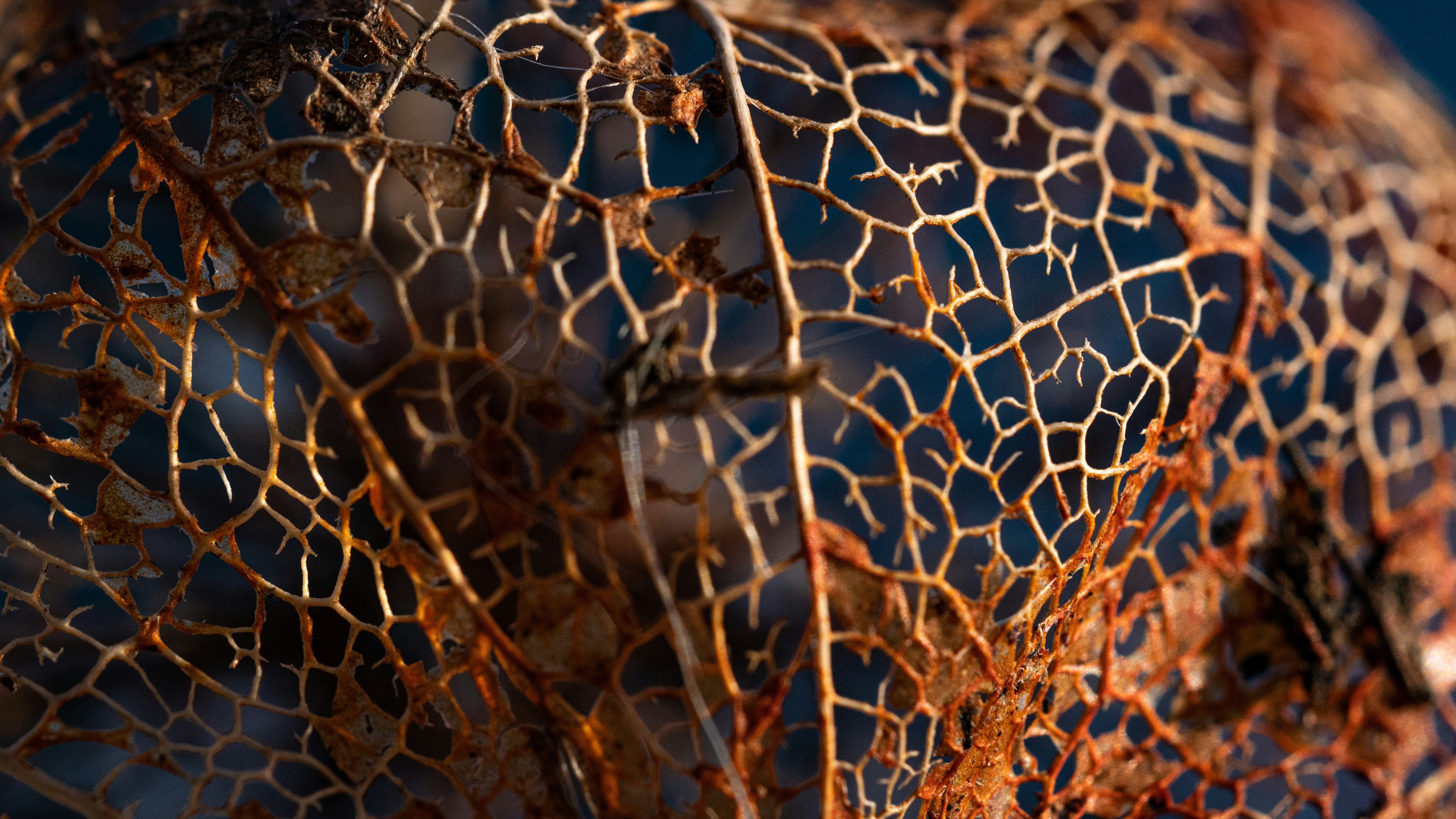 @1900'Blog： 填充在思绪间隙的碎片