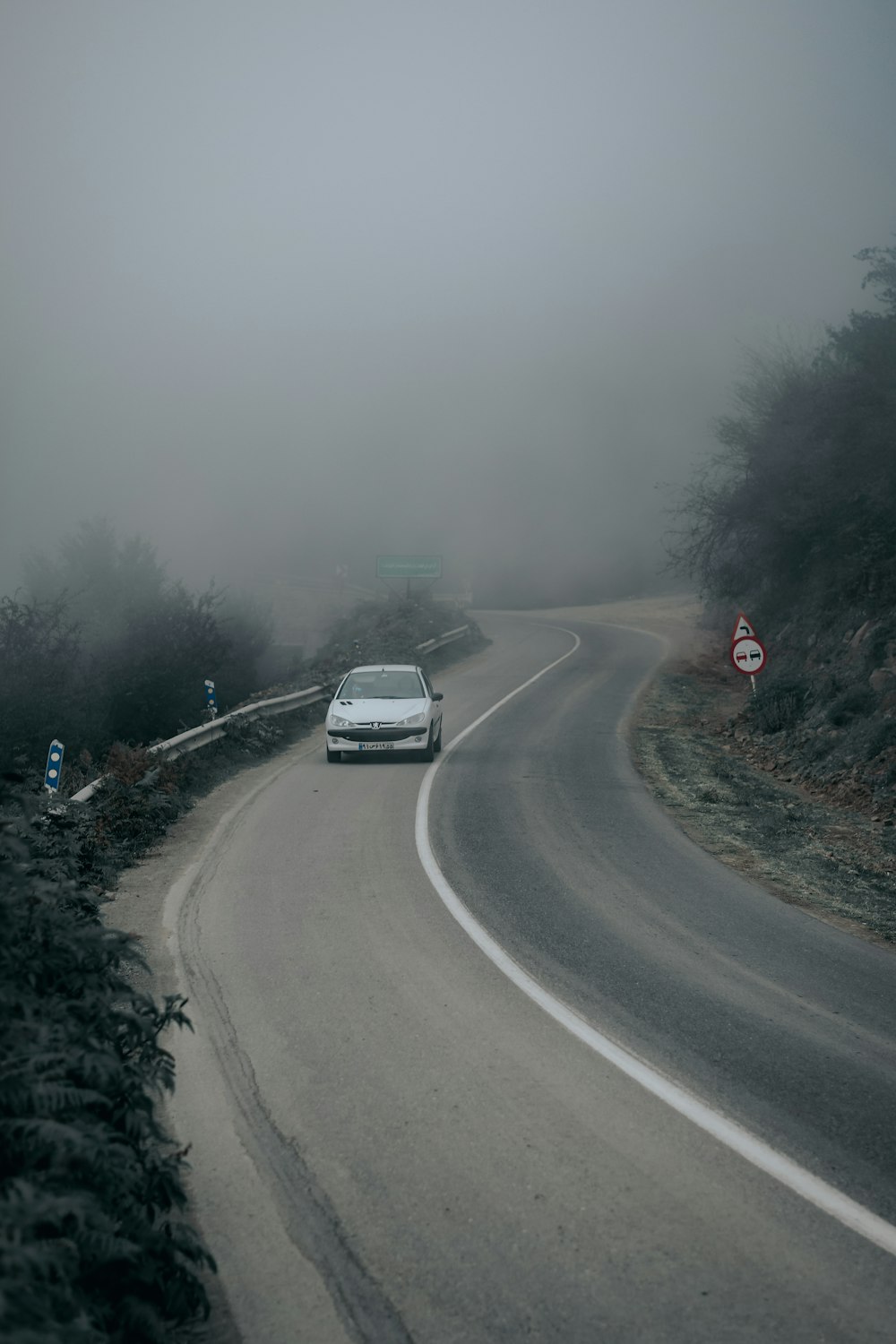 white car on road during foggy weather