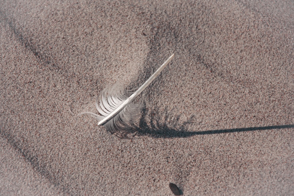 white feather on brown textile