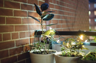 A bright, renovated balcony featuring wooden decking and potted plants under soft lighting.