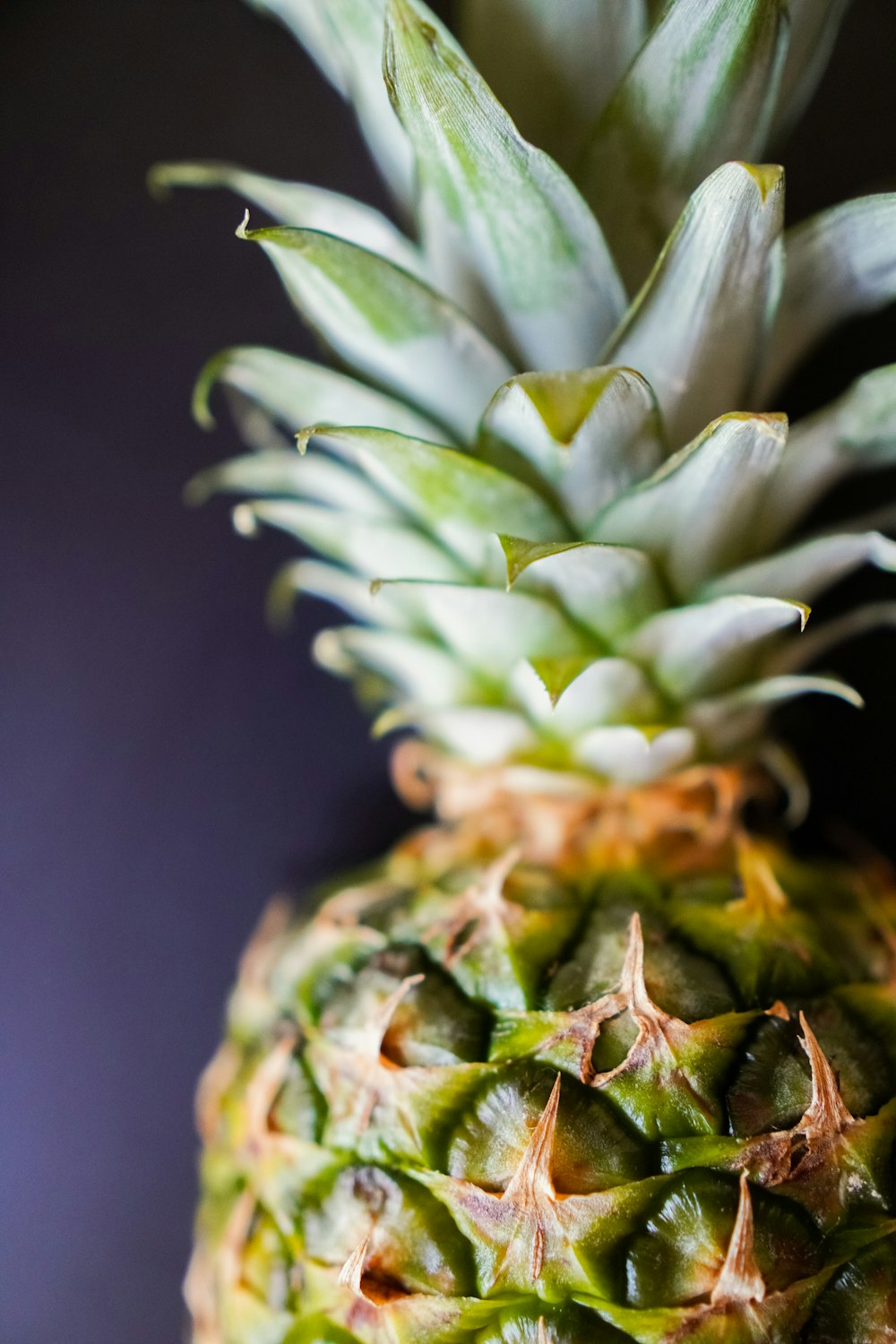 green and brown pineapple fruit