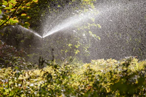 Evening view of a residential garden illuminated softly with water droplets sparkling from irrigation