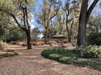 A serene garden setting with tall trees draped in Spanish moss, vibrant pink and white flowers in bloom, and a gazebo nestled in the background. A path covered in brown leaves winds through the greenery, creating a peaceful and inviting atmosphere.